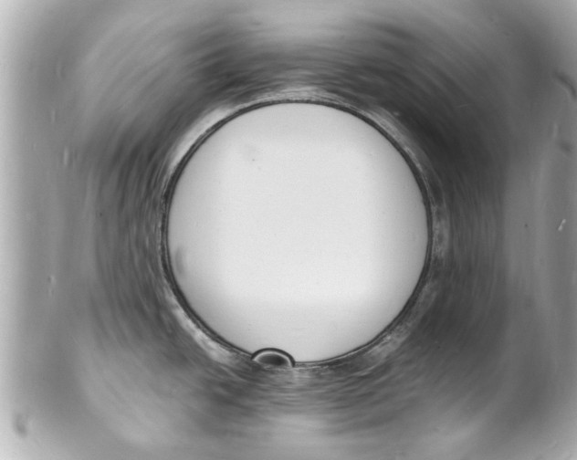 X0000101671438200807311447