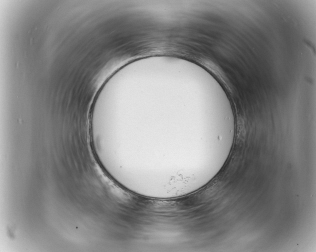 X0000101671439200807311447
