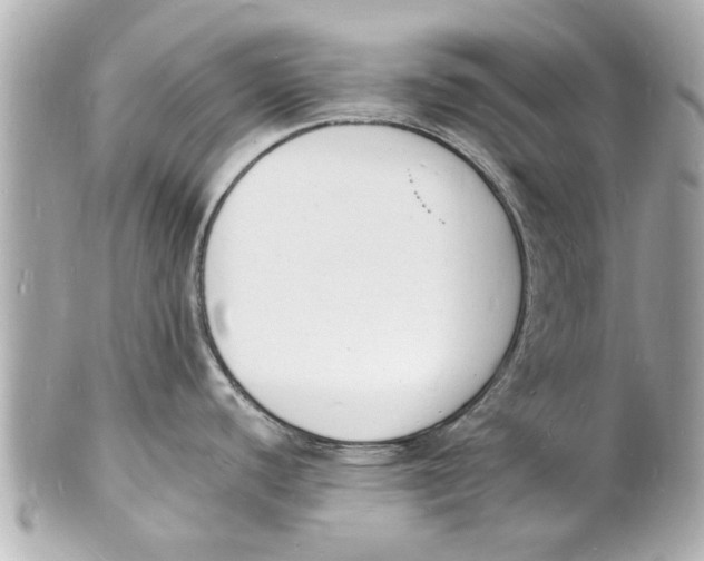 X0000101671440200807311447