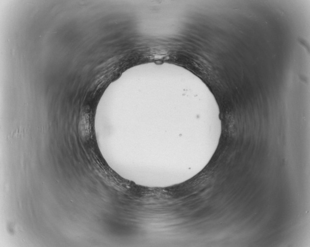 X0000101671442200807311447