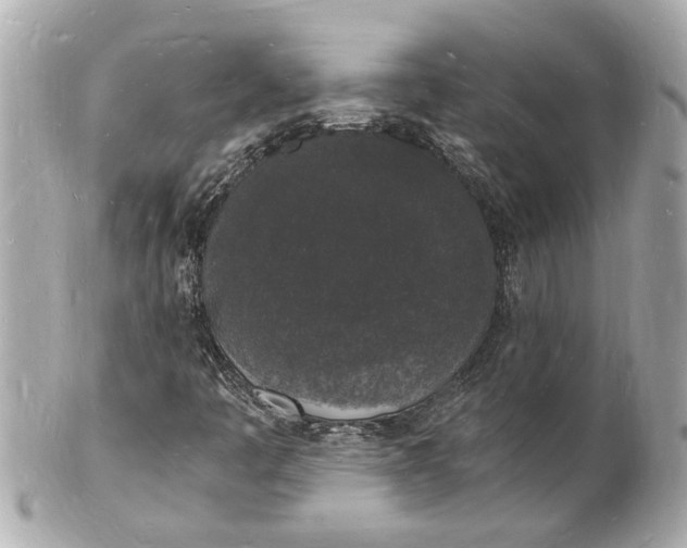 X0000101671445200807311447