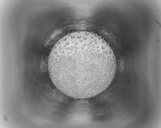 X0000101671446200807311447