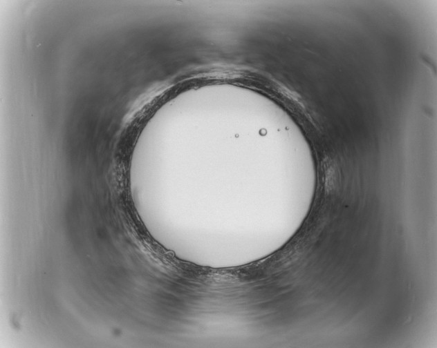 X0000101671448200807311447