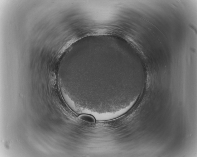X0000101671449200807311447