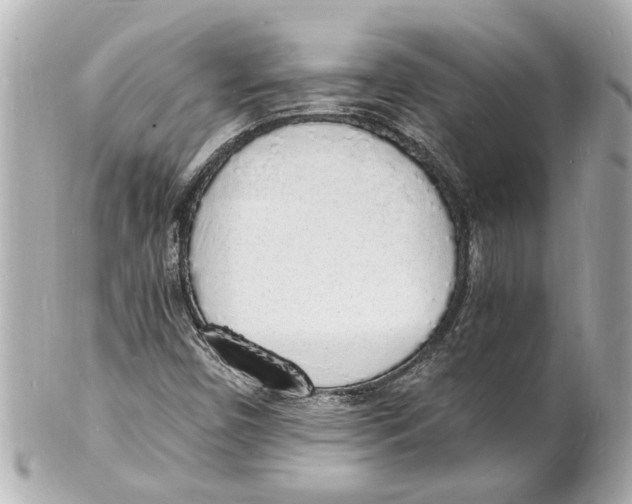 X0000101671450200807311447