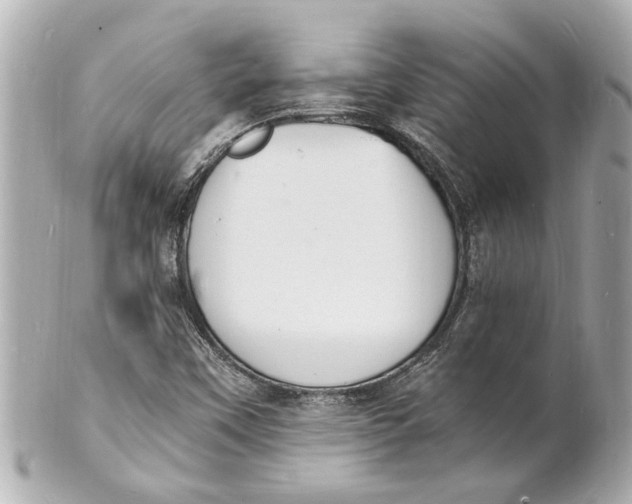 X0000101671451200807311447