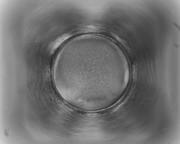 X0000101671453200807311447