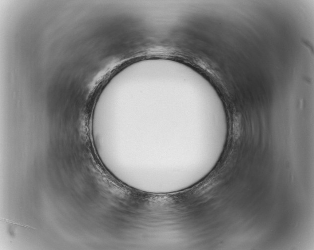 X0000101671454200807311447