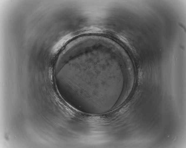 X0000101671455200807311447