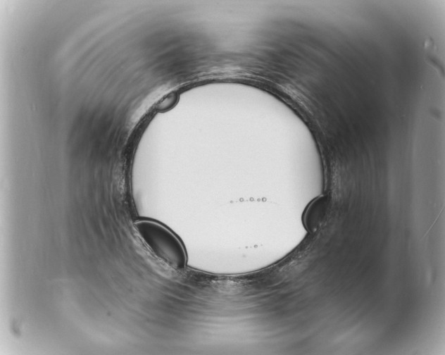 X0000101671458200807311447