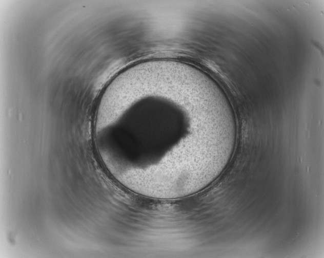 X0000101671459200807311447