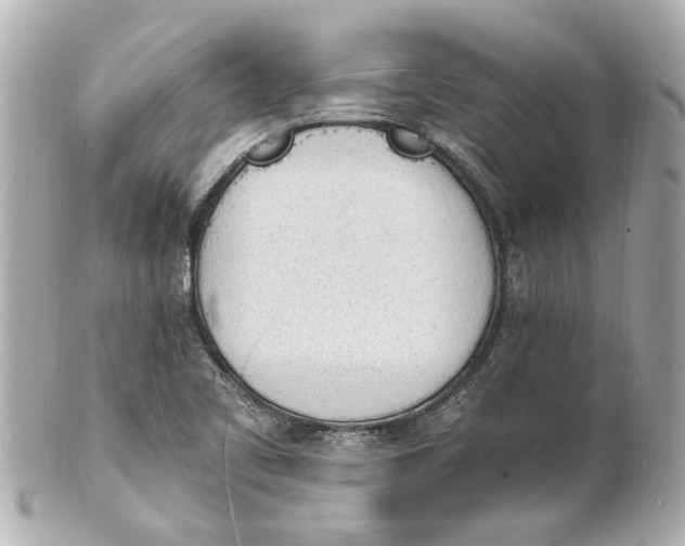 X0000101671461200807311447