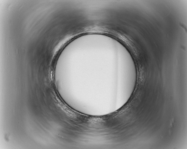 X0000101671462200807311447