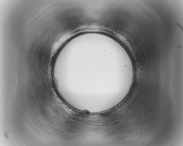 X0000101671464200807311446