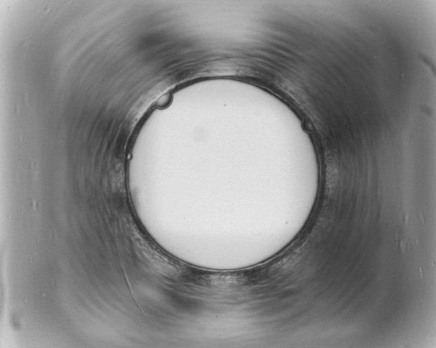 X0000101671465200807311446