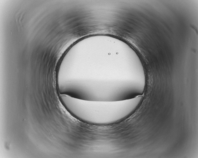 X0000101671468200807311446