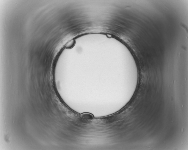 X0000101671469200807311446