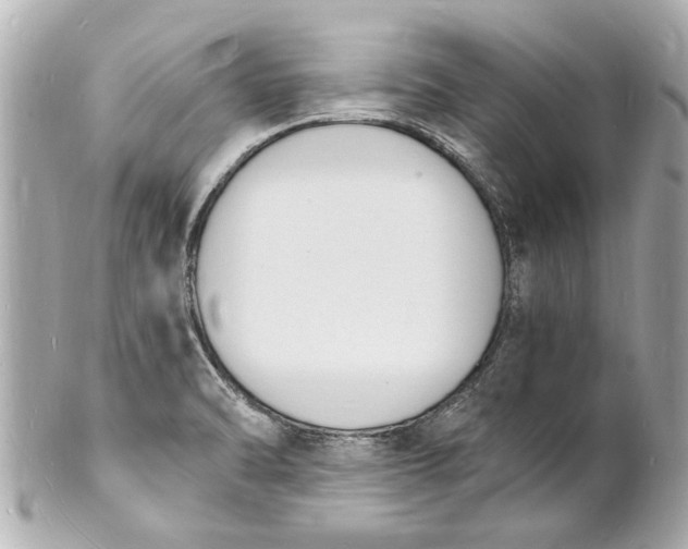 X0000101671470200807311446