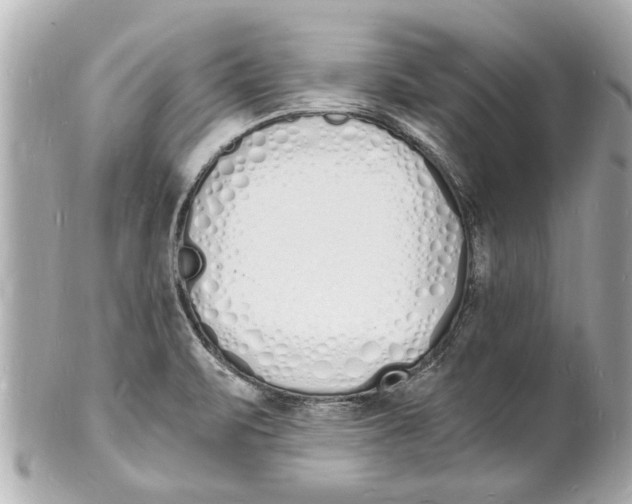 X0000101671471200807311446