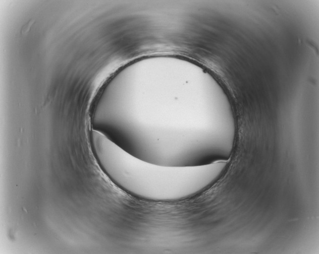 X0000101671472200807311446