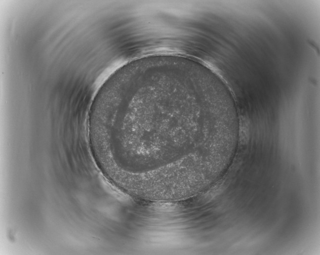 X0000101671474200807311446
