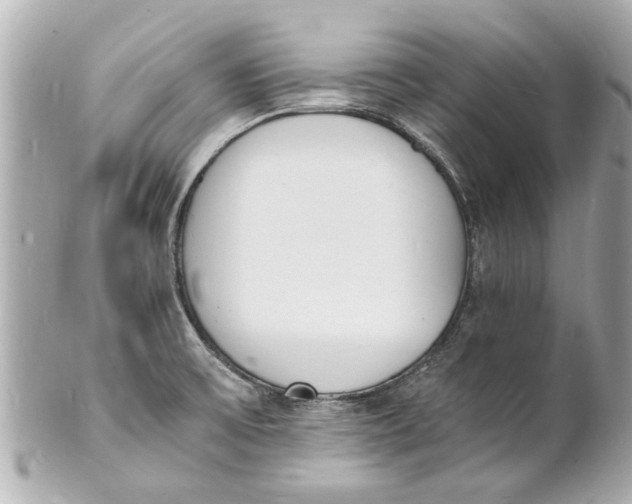 X0000101671475200807311446