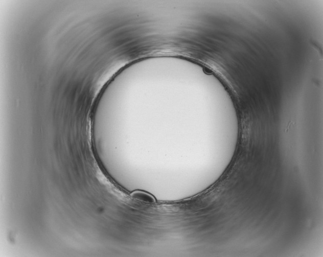 X0000101671476200807311446