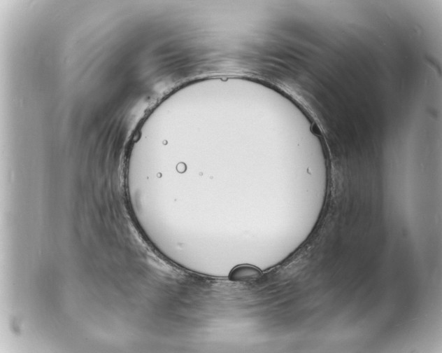 X0000101671477200807311446
