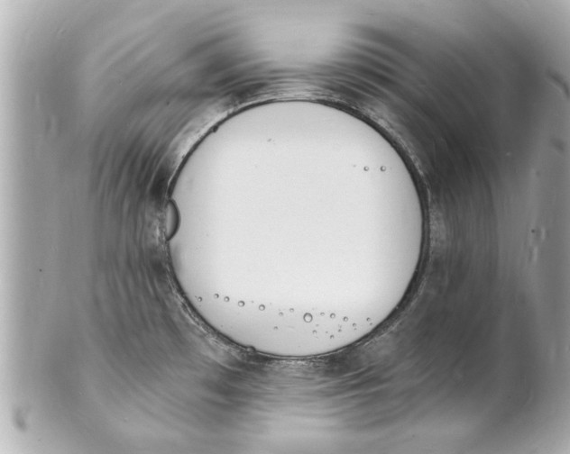 X0000101671481200807311446