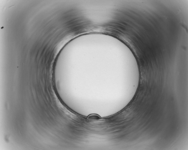 X0000101671483200807311446