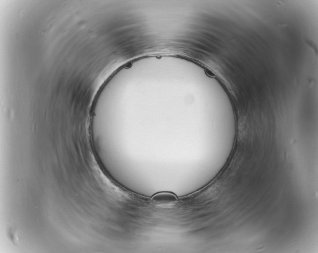 X0000101671484200807311446