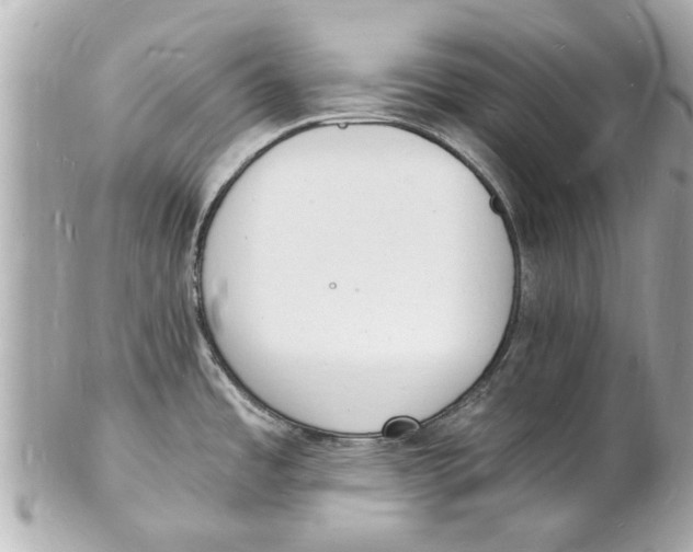 X0000101671485200807311446