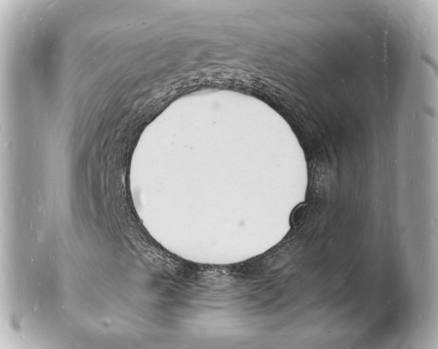 X0000101671489200807311445
