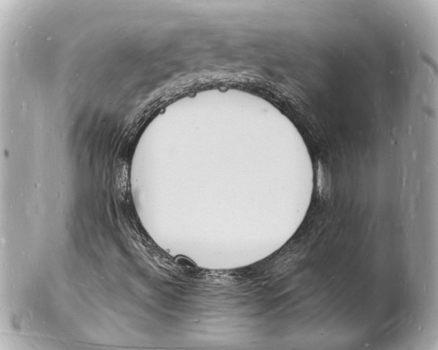 X0000101671492200807311446