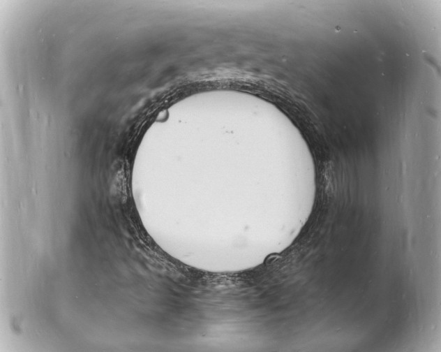 X0000101671493200807311446
