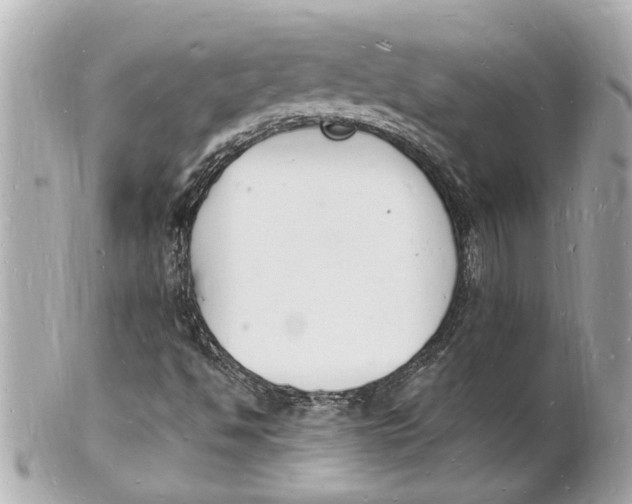 X0000101671494200807311446