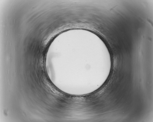X0000101671498200807311446