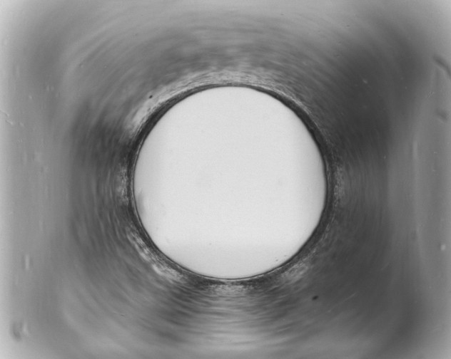 X0000101671499200807311446