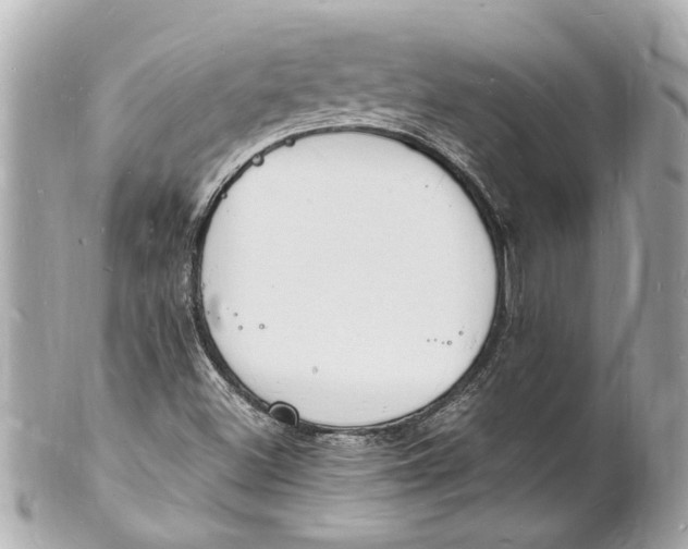 X0000101671500200807311446
