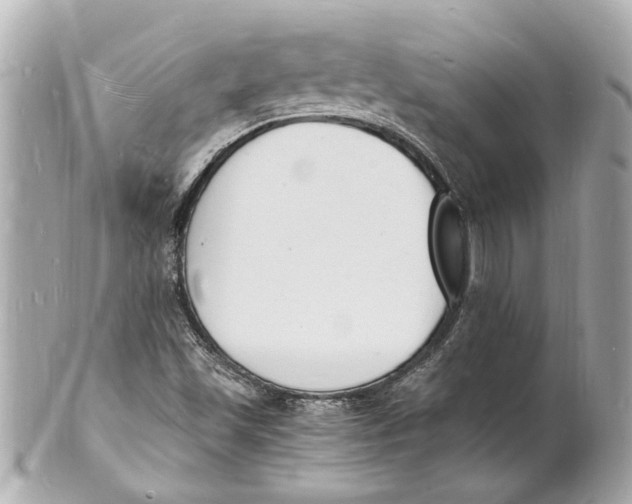 X0000101671501200807311446