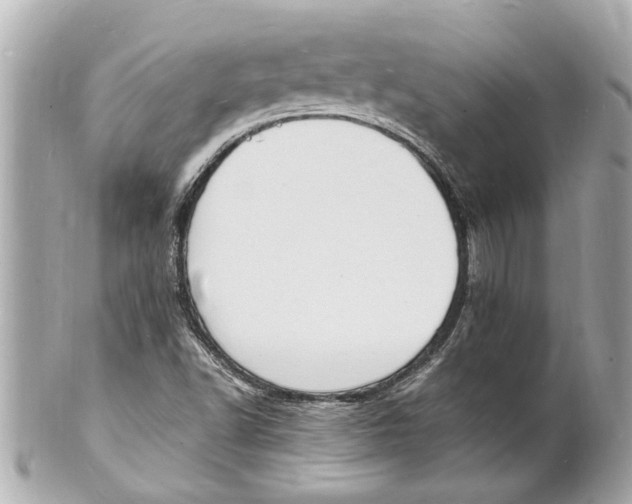 X0000101671502200807311446