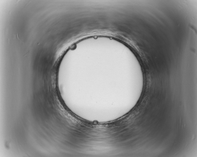 X0000101671504200807311446
