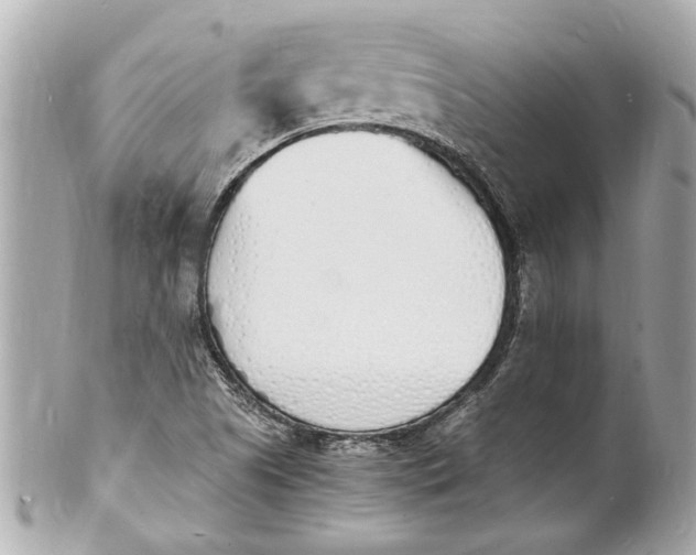 X0000101671505200807311446