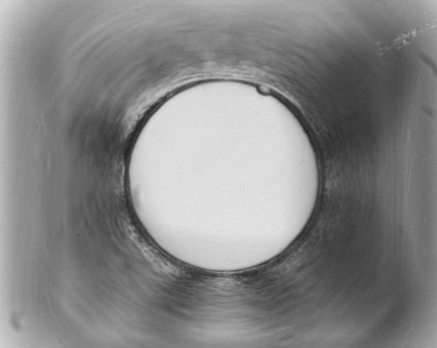 X0000101671507200807311446