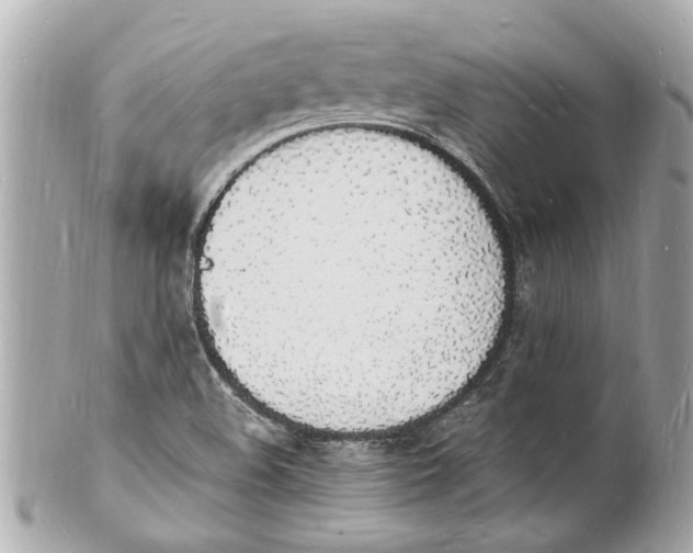 X0000101671508200807311446