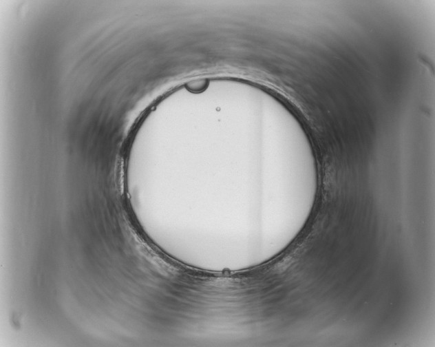 X0000101671510200807311446