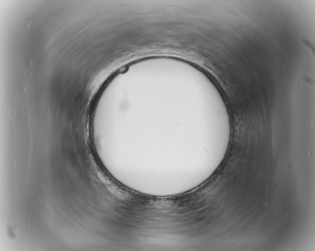 X0000101671511200807311446