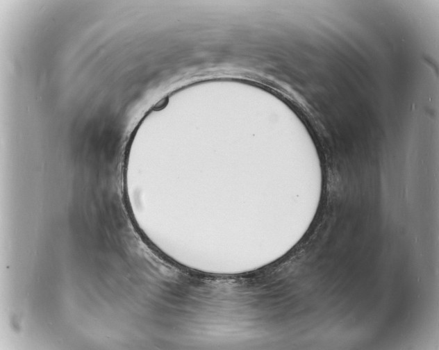 X0000101671512200807311446