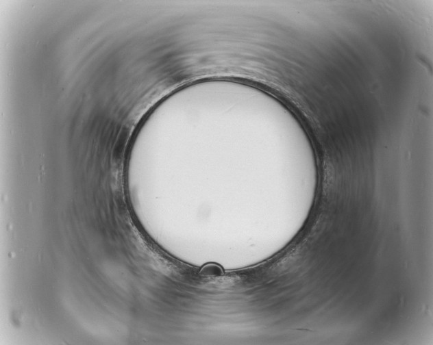X0000101671513200807311446