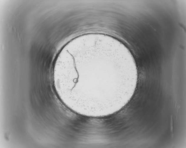 X0000101671514200807311446